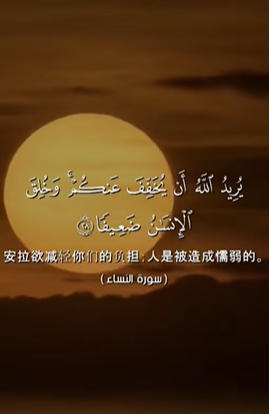 سورة النساء: 28