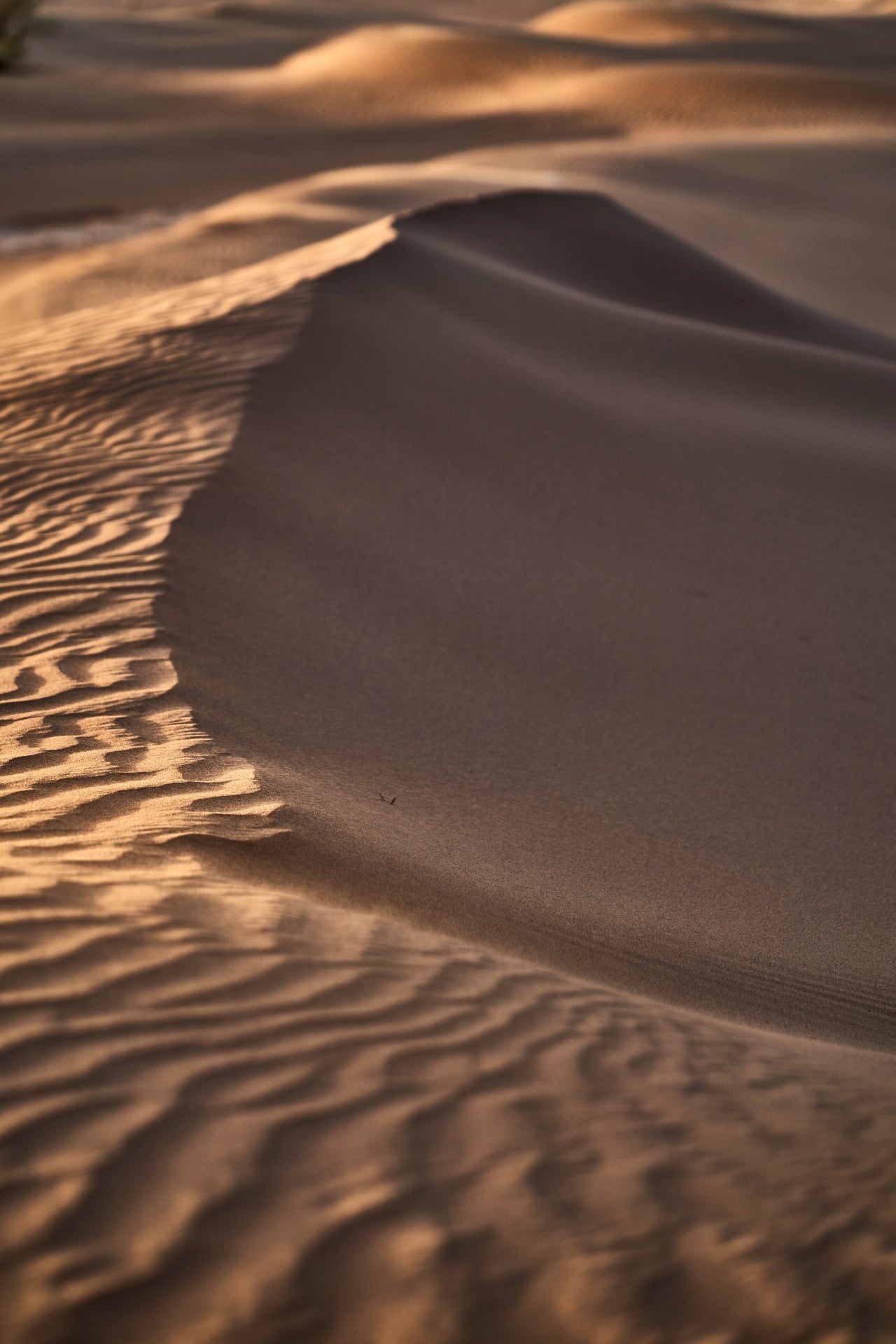 أثر الكلمة الطيبة في تغيير الناس