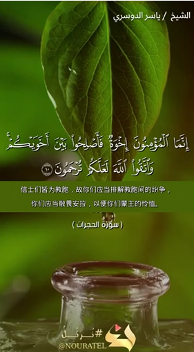 سورة الحجرات: 10