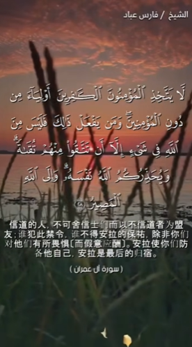 سورة آل عمران: 28-29