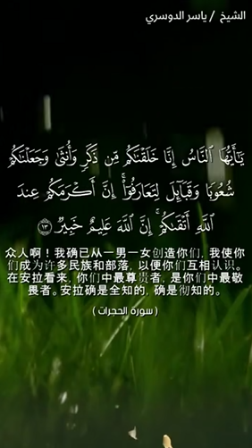 سورة الحجرات: 13