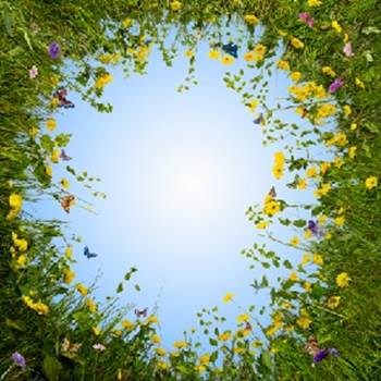 مفهوم الأسرة في الإسلام (باللغة الصينية)