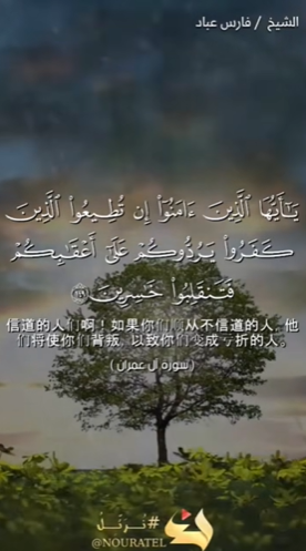 سورة آل عمران: 149