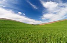 الرحمة في التعامل مع الآخرين (باللغة التايلاندي)