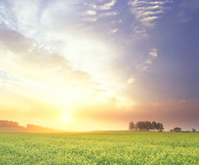 أهمية الحفاظ على البيئة في الإسلام (باللغة الصينية)