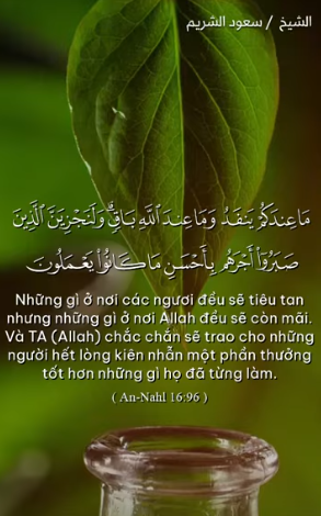 سورة النحل : 96 (باللغة الفيتنامي)