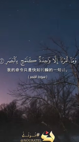 سورة القمر: 50:54