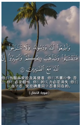 سورة الأنفال: 46