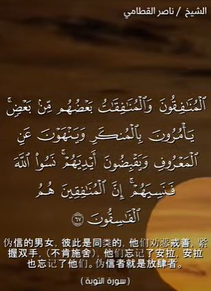 التوبة: 67 (باللغة الصينية)