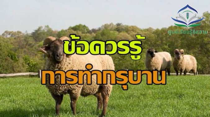 video title