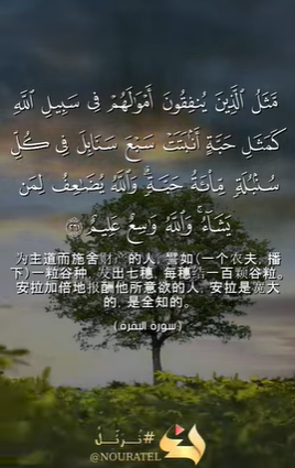 سورة البقرة: 261 (باللغة الصينية)