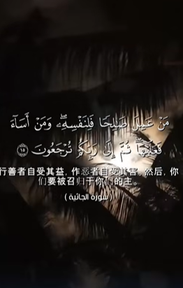 سورة الجاثية: 15