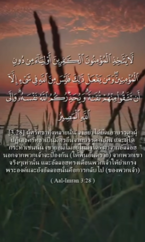 سورة آل عمران: 28-29