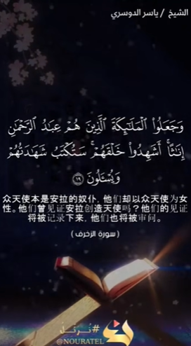 سورة الزخزف: 19-20