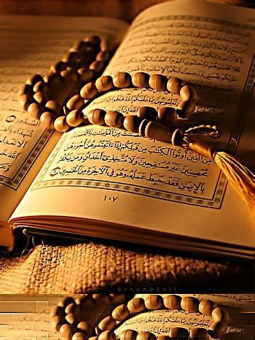 ضع كل ثقتك في الله (باللغة الفيتنامي)