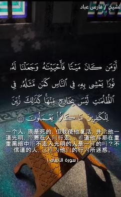 الأنعام: 122 (باللغة الصينية)