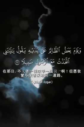 سورة الفرقان: 27-29