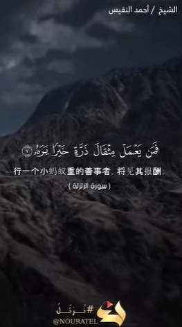 سورة الزلزلة: 7-8 (باللغة الصينية)