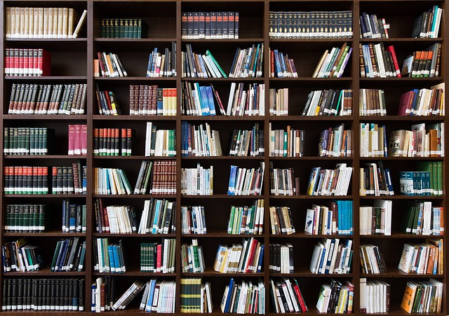 إسهامات العلماء المسلمين في العلوم