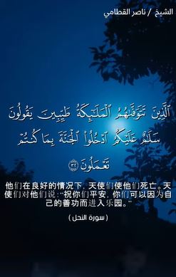 النحل: 32 (باللغة الصينية)