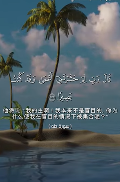 سورة طه: 123: 125 (باللغة الصينية)