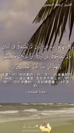سورة الممتحنة: 8