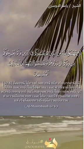 سورة الممتحنة: 8