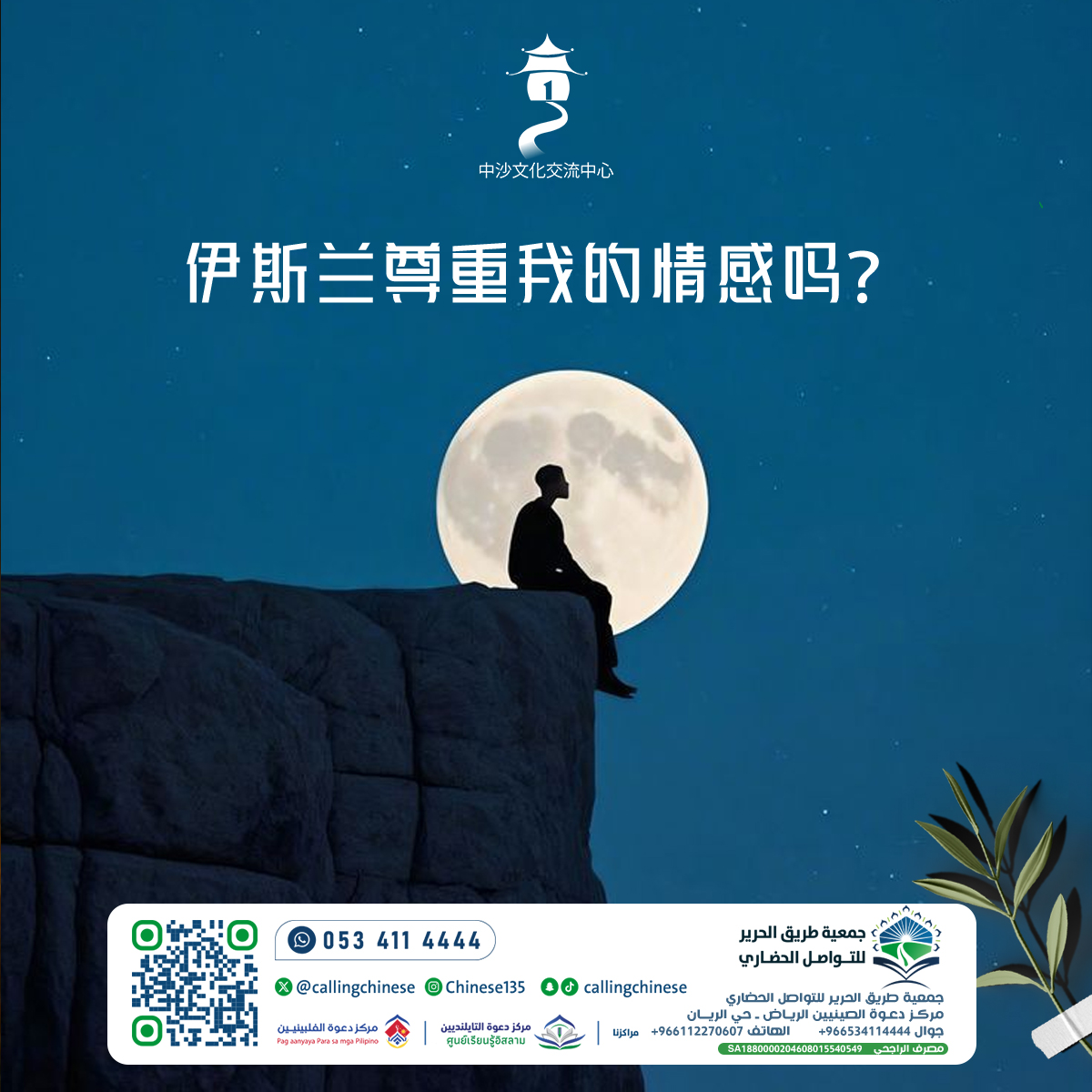 هل يحترم الإسلام مشاعري؟ (باللغة الصينية)