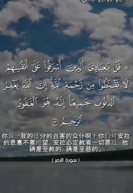 سورة الزمر 53 (باللغة الصينية)
