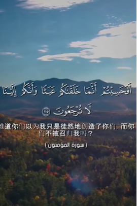 سورة المؤمنون: 115-116