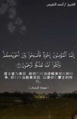 سورة الحجرات 11 (باللغة الصينية)