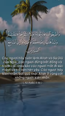 سورة الأنفال – الآية 46