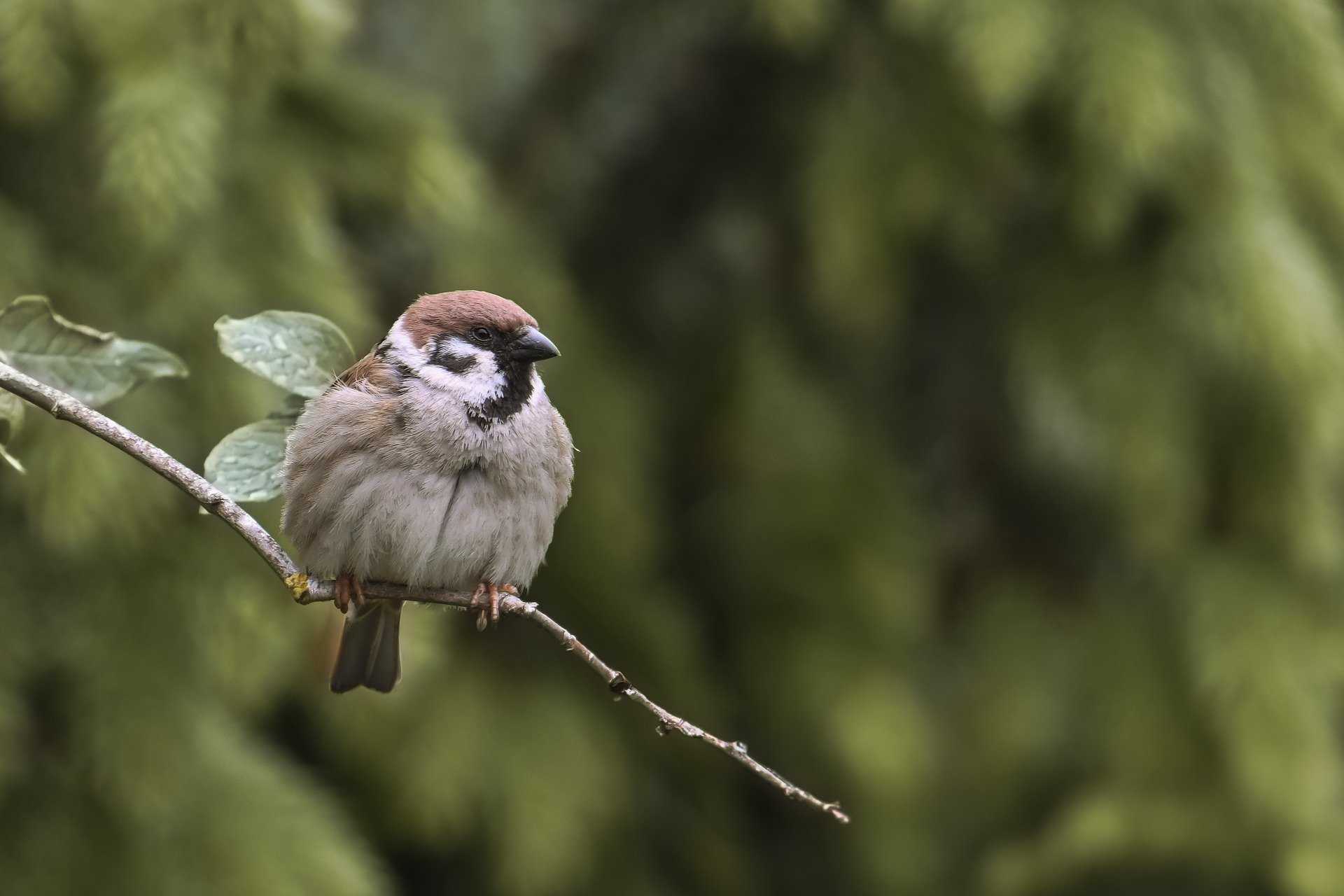 البداية مع النفس