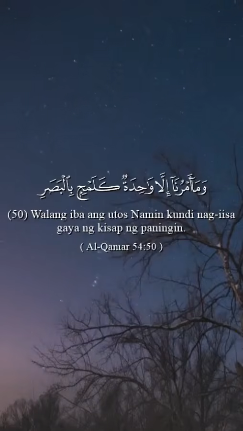 سورة القمر الآيات 50-54