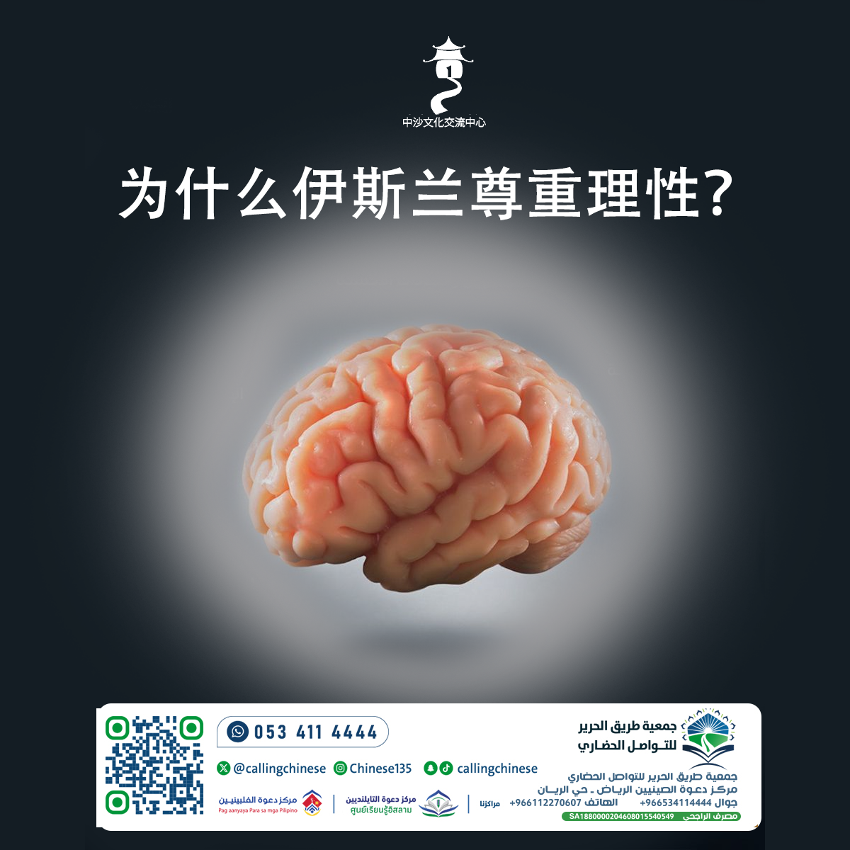 لماذا يحترم الإسلام العقل؟ (باللغة الصينية)