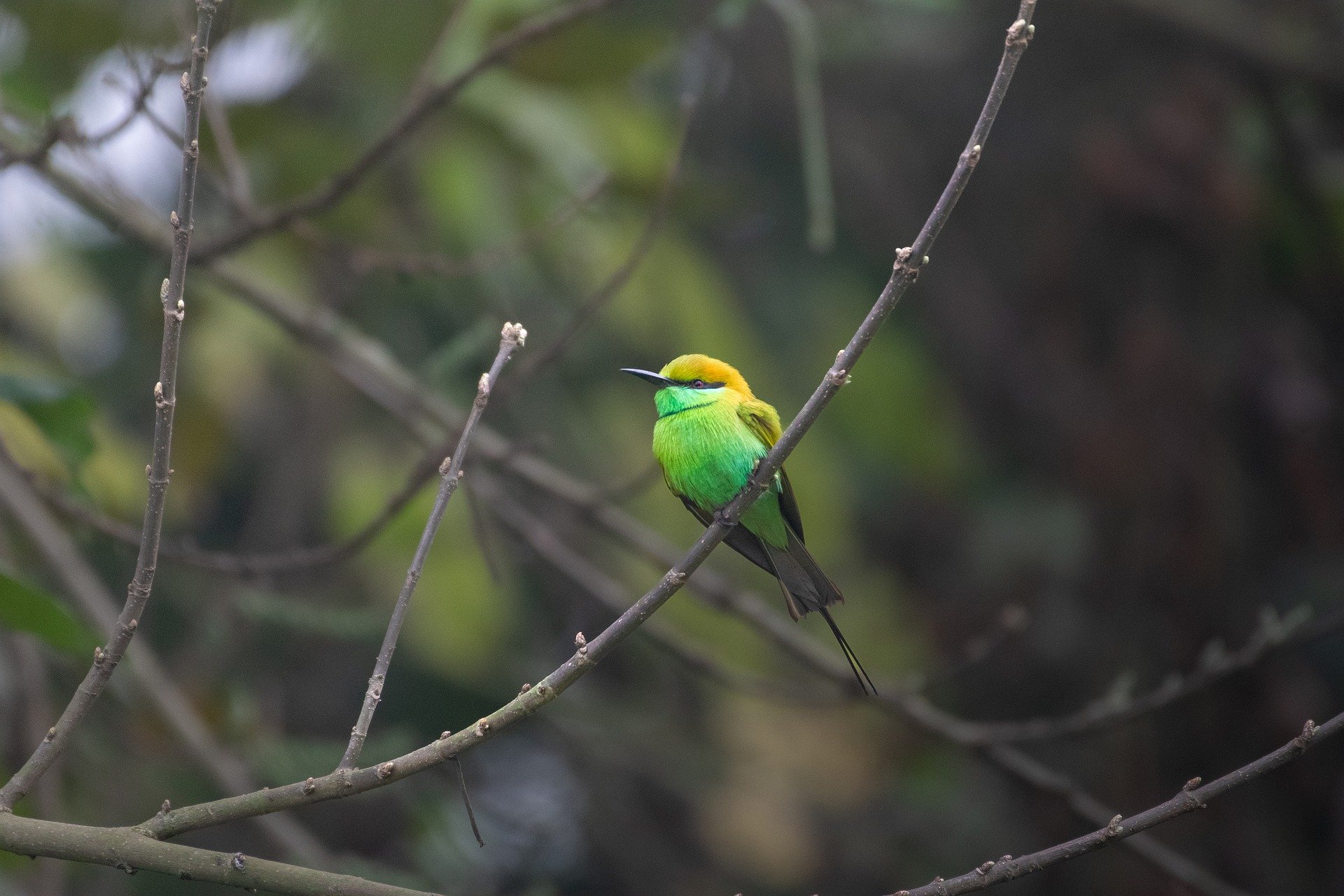 إذا كان أفضلُ الناس قد تعرّض للاختبار، فمن نكون نحن؟ (باللغة الفيتنامي)