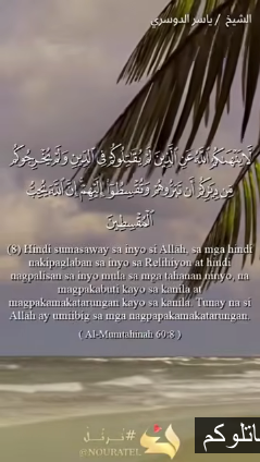 سورة الممتحنة - الآية 8