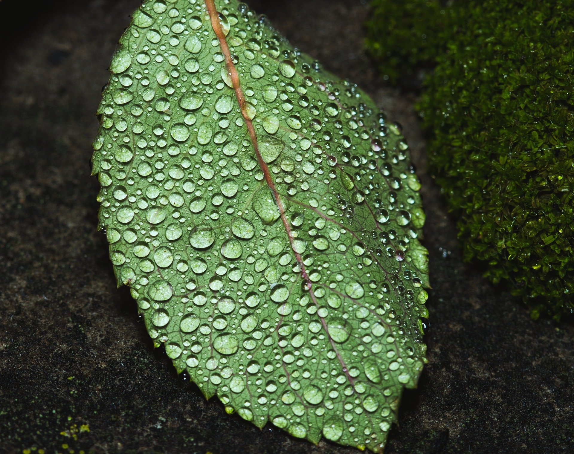 كيف تُصلح حياتك من خلال إصلاح علاقتك بالله (باللغة الفيتنامي)