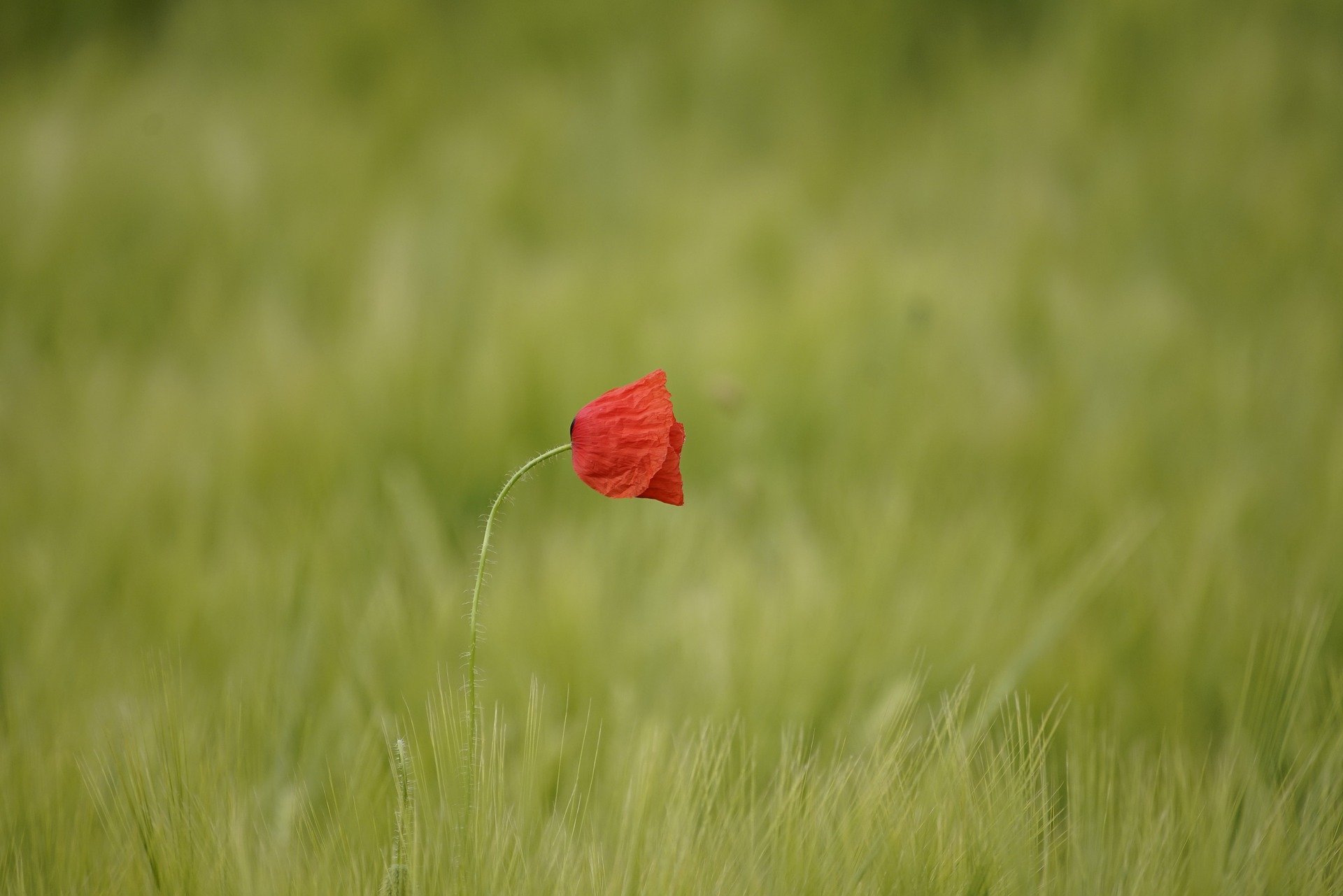 العمل والتطوير المستمر