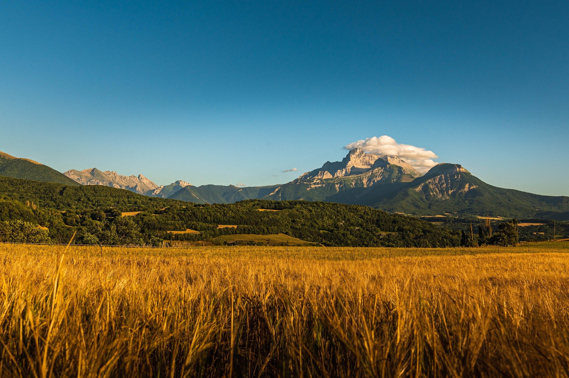 كيف يجعل المسلم حياته ذات أثر؟