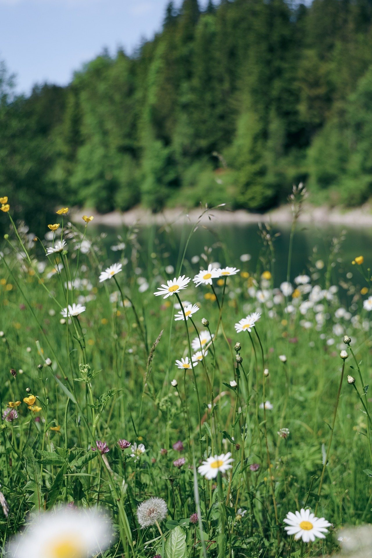 (أهمية الحفاظ على البيئة في الإسلام) (باللغة الفيتنامي)