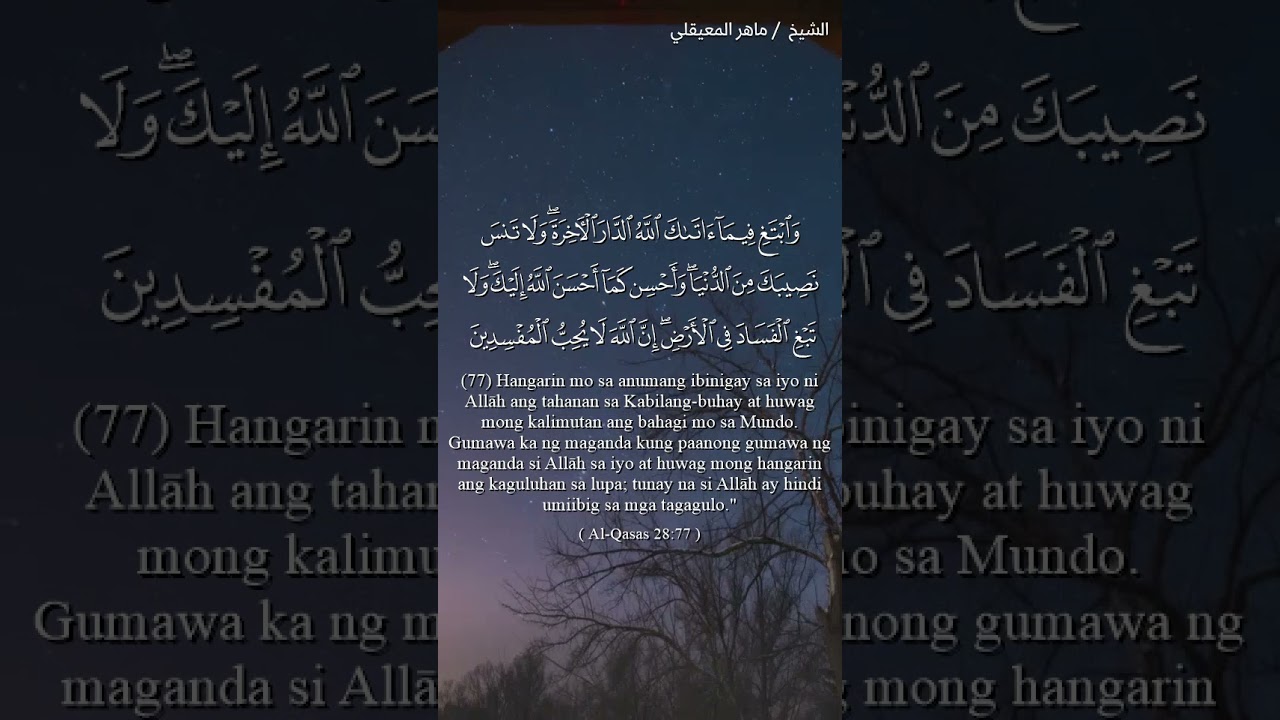 سورة القصص - الآية 77